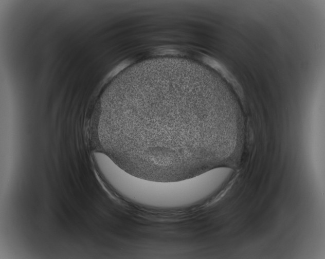 X0000083581233200703021806