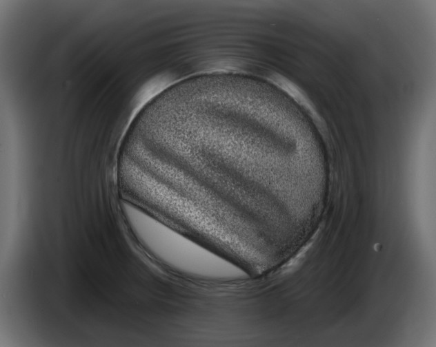 X0000083581234200703021806