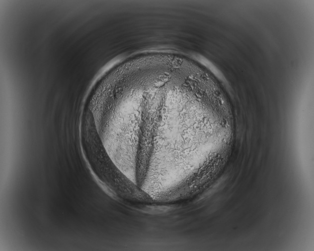 X0000083581237200703021807