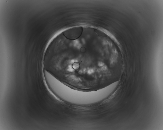 X0000083581239200703021807