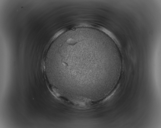 X0000083581241200703021807