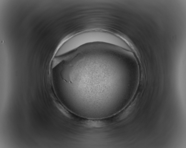 X0000083581242200703021807