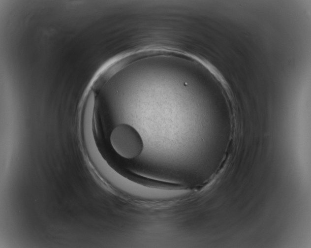 X0000083581246200703021807