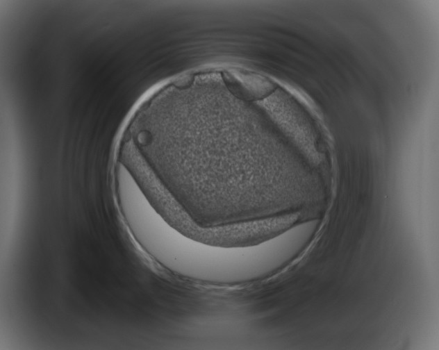 X0000083581248200703021807