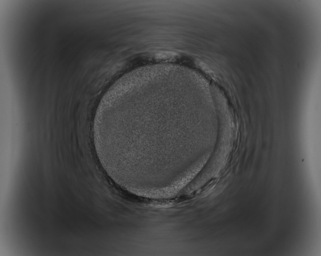 X0000083581249200703021806