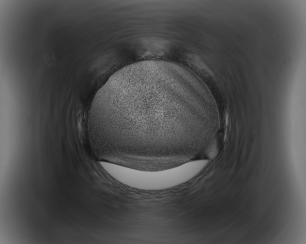 X0000083581250200703021806