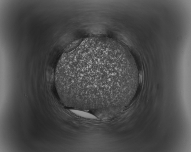 X0000083581251200703021806