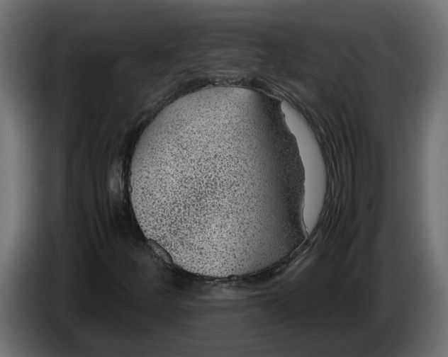 X0000083581252200703021806