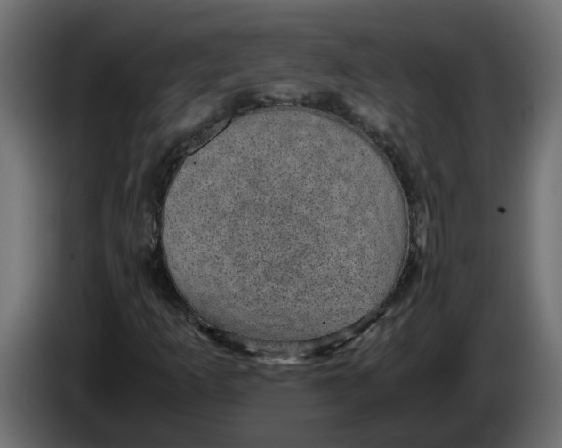 X0000083581253200703021806