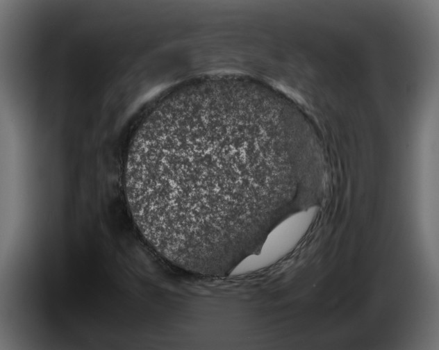 X0000083581255200703021806