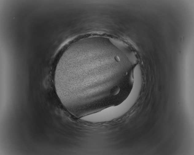 X0000083581256200703021806