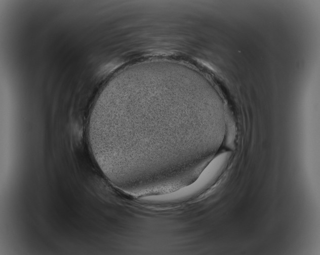 X0000083581257200703021806