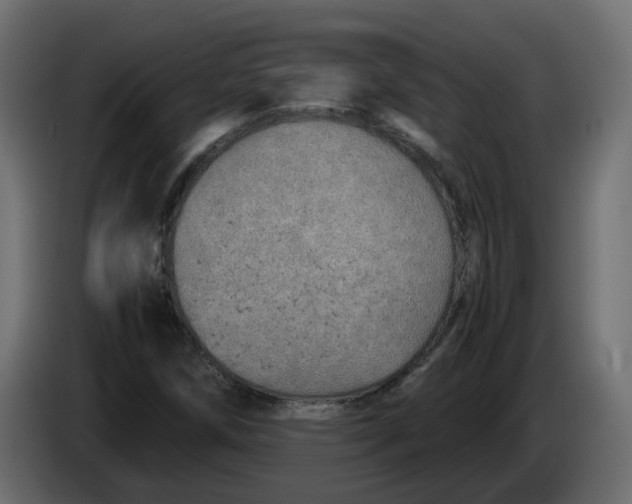 X0000083581258200703021806