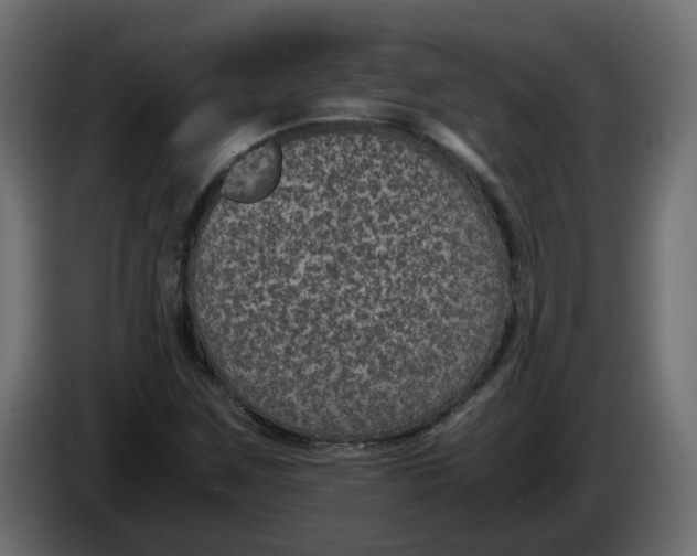 X0000083581259200703021806