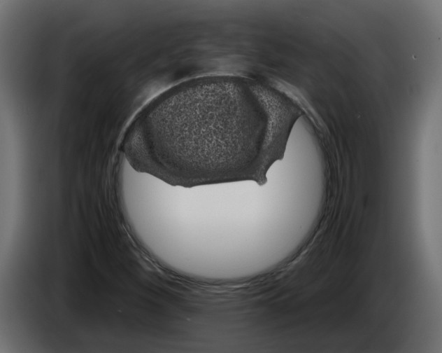 X0000083581260200703021806