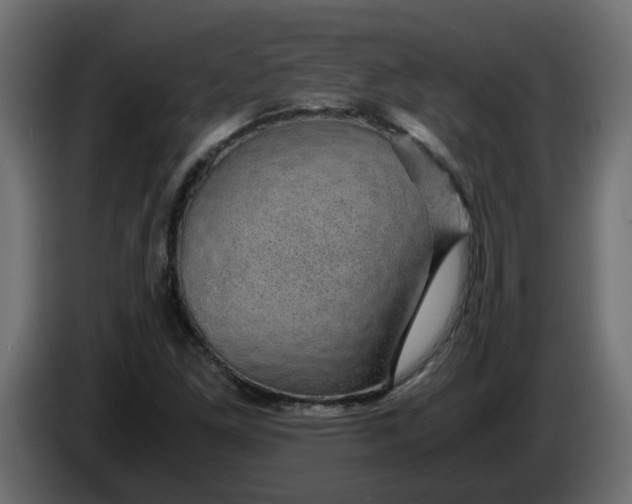 X0000083581261200703021806