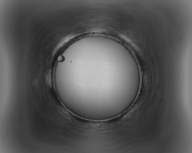 X0000083581262200703021806