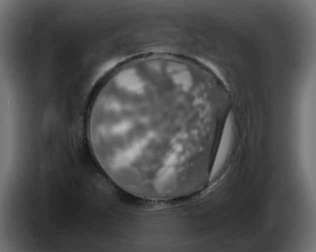 X0000083581263200703021806