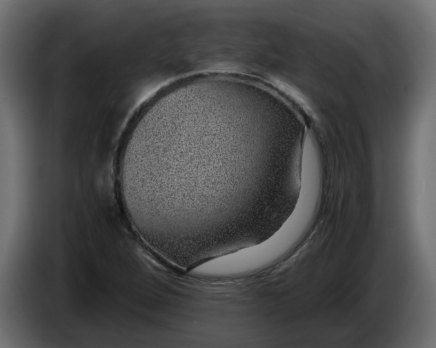 X0000083581264200703021806