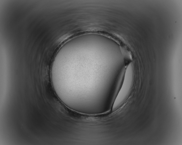 X0000083581265200703021806