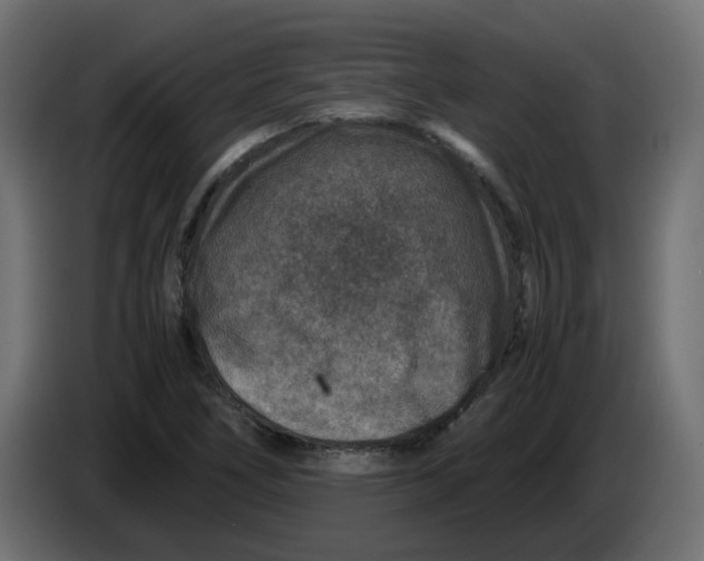 X0000083581266200703021806