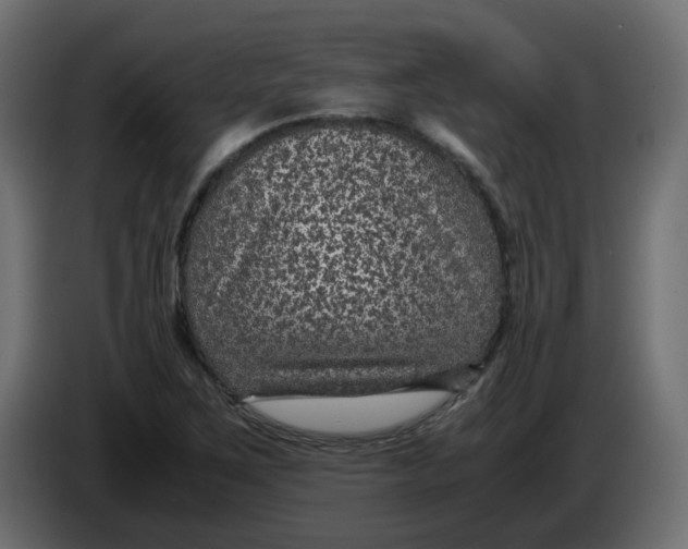 X0000083581267200703021806