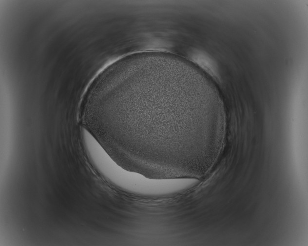 X0000083581268200703021805