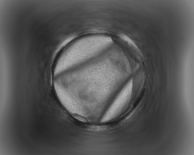 X0000083581269200703021805