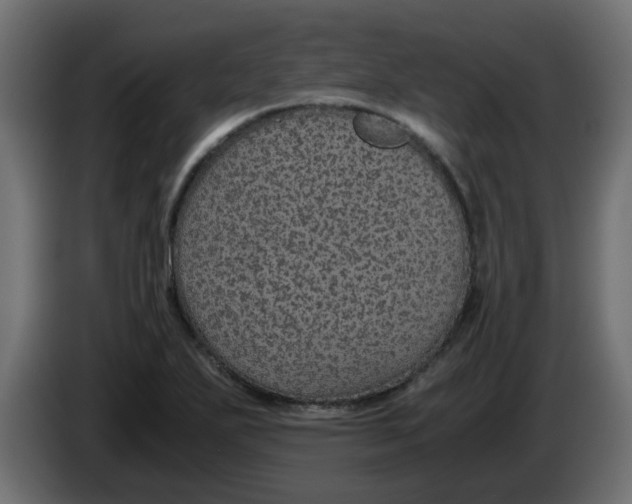 X0000083581271200703021805