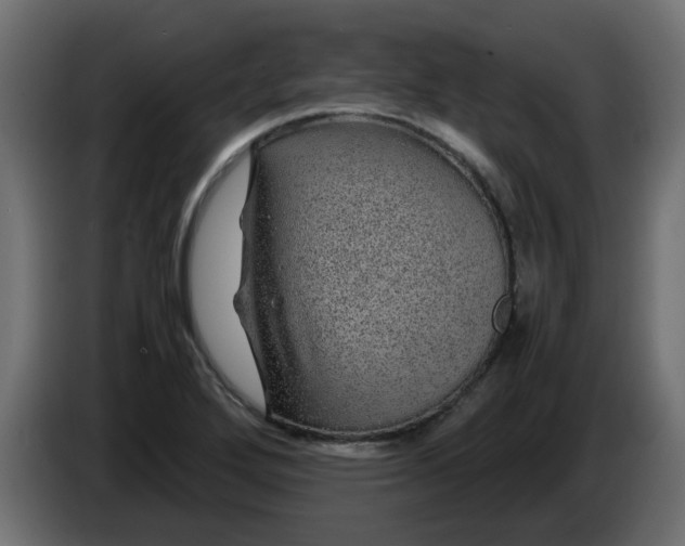 X0000083581272200703021805