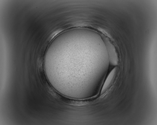 X0000083581273200703021805