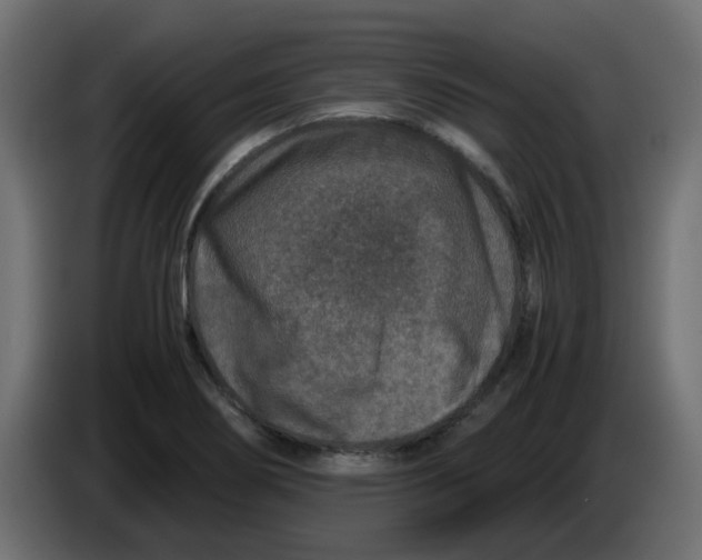 X0000083581274200703021805