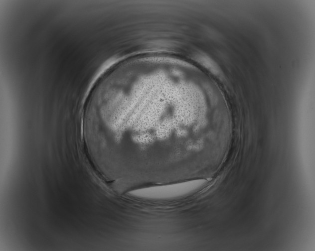 X0000083581275200703021805