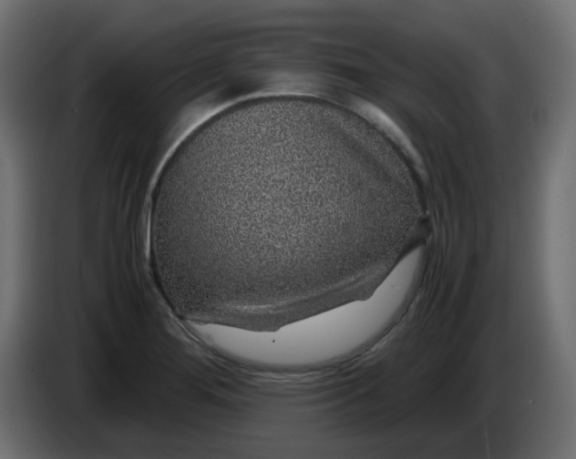 X0000083581276200703021805