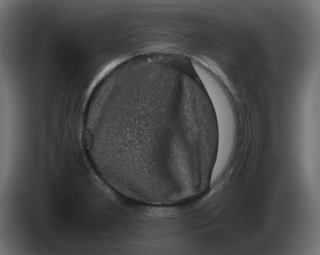 X0000083581277200703021805