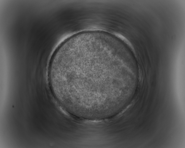 X0000083581278200703021805