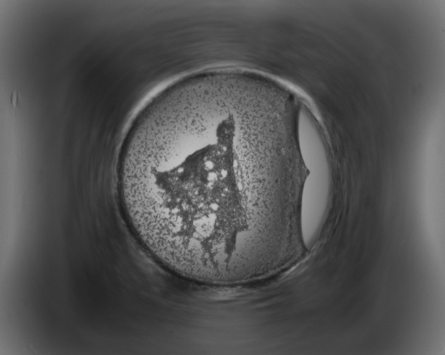 X0000083581279200703021805