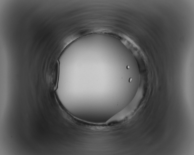 X0000083581281200703021805