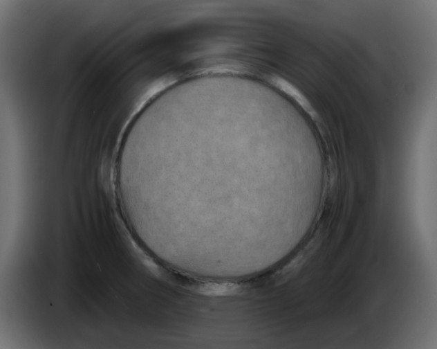 X0000083581282200703021805