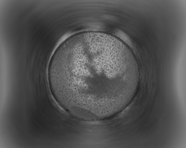 X0000083581283200703021805