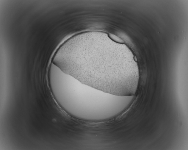 X0000083581284200703021805