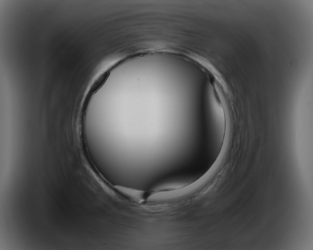 X0000083581285200703021805