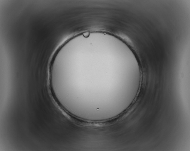 X0000083581286200703021805