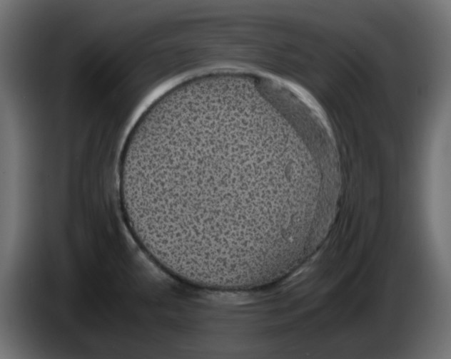 X0000083581287200703021805