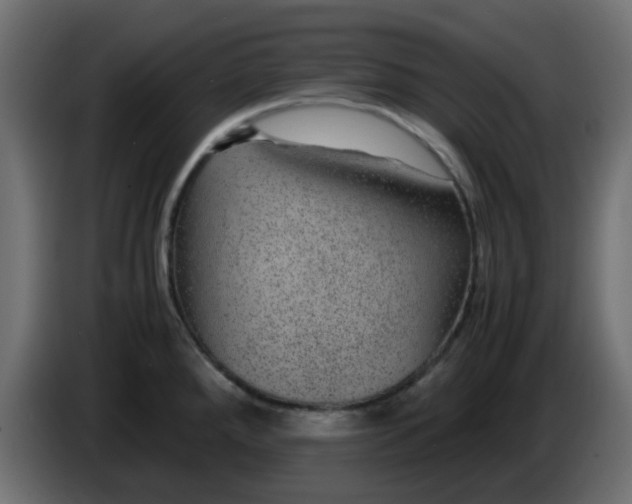 X0000083581288200703021805