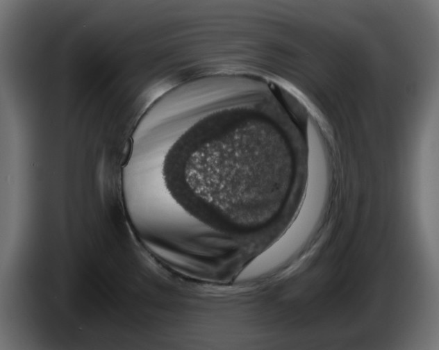 X0000083581289200703021805