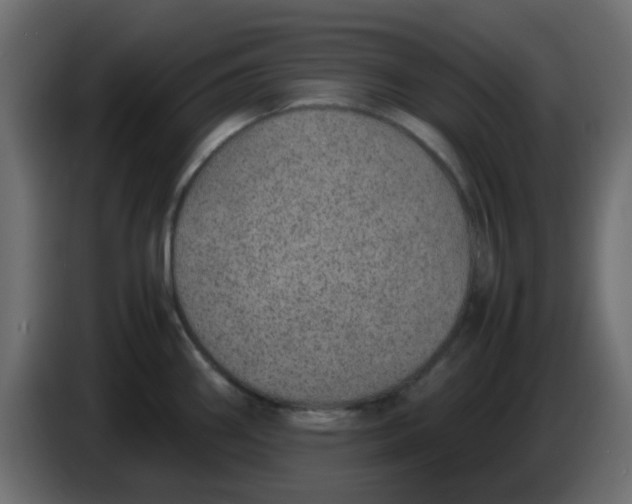 X0000083581290200703021805