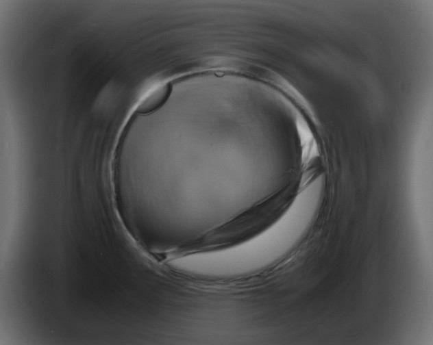 X0000083581291200703021805