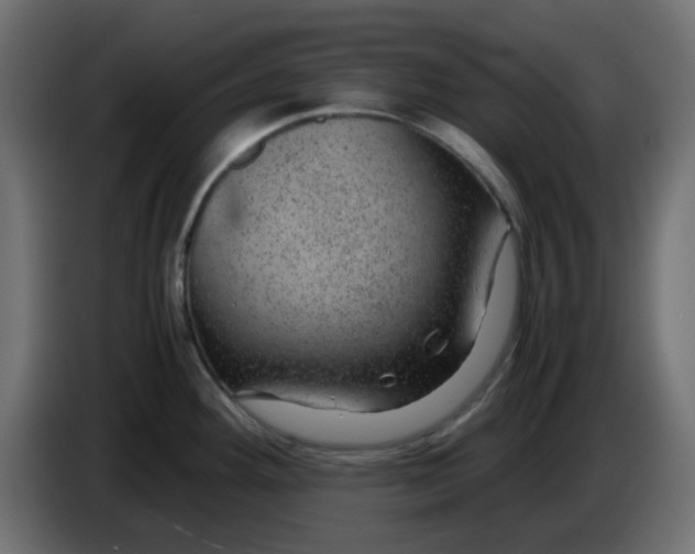 X0000083581292200703021805