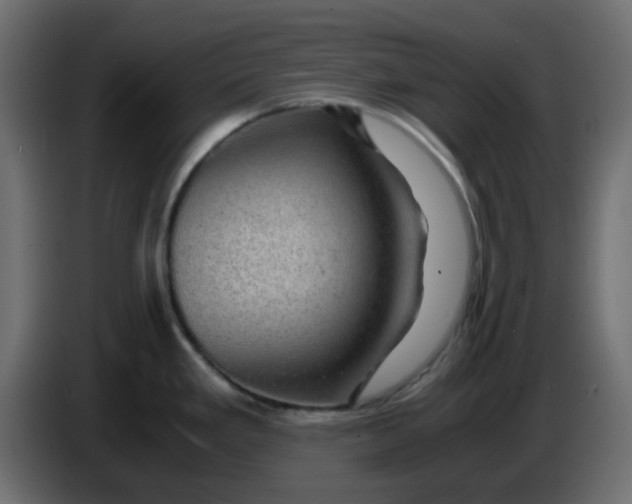 X0000083581293200703021805